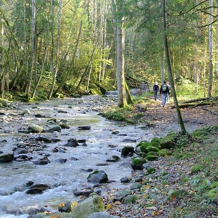 Ferienhaus Wetzel Weiler-Simmerberg Buitenkant foto