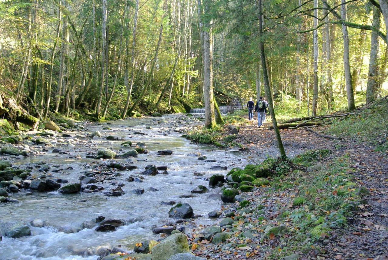 Ferienhaus Wetzel Appartement Weiler-Simmerberg Buitenkant foto